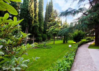 Cəbrayıl və Füzulidə yeni yaşıllıqlar salınacaq