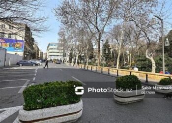 Xaqani bağının bir hissəsi zəbt edilib? – Rəsmi