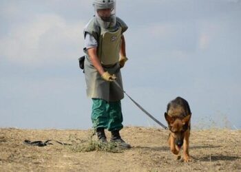ANAMA-ya 3 yeni minaaxtaran it təqdim olundu