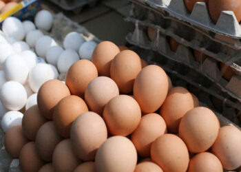 Yumurta yenidən bahalaşdı