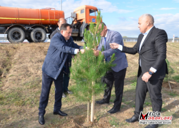 Qazaxda “Yaşıl dünya naminə həmrəylik ili” çərçivəsində keçirilən ağacəkmə aksiyası bu gün də davam edib