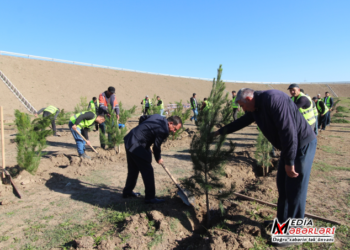 “Yaşıl dünya naminə həmrəylik ili” çərçivəsində Qazaxda ağacəkmə aksiyası davam edir