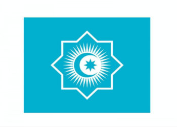 TDT-nin yeni bayrağı qəbul edilib