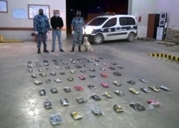 Ölkəmizdə 145,3 milyonluq narkotik dövriyyədən çıxarıldı