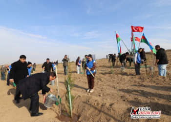 Qazaxda ağacəkmə aksiyası keçirilib