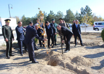 Ordubadda ağacəkmə aksiyası davam edir
