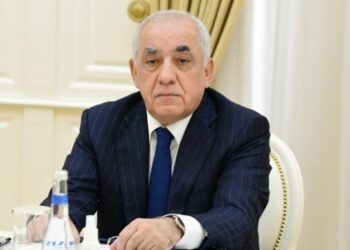 Baş nazirdən kiçik elektromobillərlə bağlı qərar