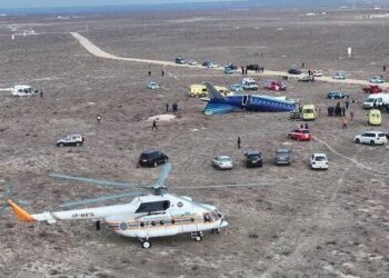 Quşlar eyni anda iki mühərrikə girə biməz – Ekspert