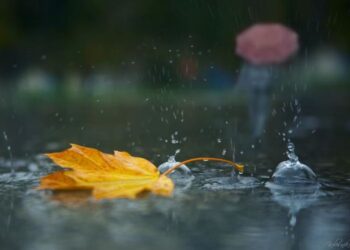 Bakıya leysan yağacaq – Xəbərdarlıq