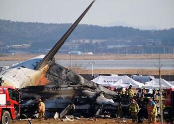 Cənubi Koreyada təyyarə qəzası: 179 ölü – Anbaan video