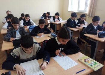 Azərbaycanda bütün şagirdlərin psixometrik testdən keçməsi təklif olunub