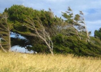 Sabahın havası: Güclü külək əsəcək