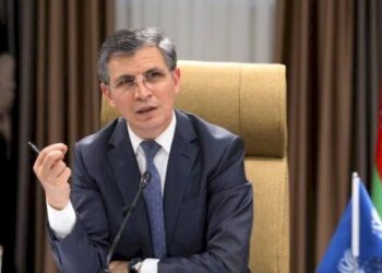 Zahid Oruc: Zəfər Konstitusiyasının qəbul olunması mümkündür