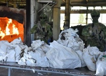 Azərbaycanda 272 milyon avroluq narkotik məhv edildi