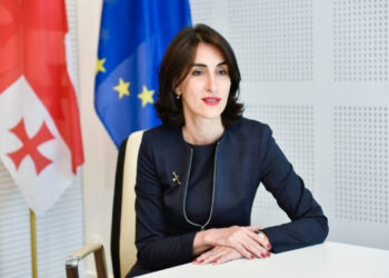 Gürcüstan XİN başçısı bu gün Azərbaycana ilk rəsmi səfərini edəcək