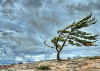 ETSN əhalini hava xəbərdarlıqlarına əməl etməyə çağırıb