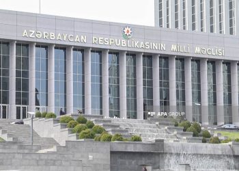 ​​​​​​​Virtual aktivlər qeyri-maddi aktivlər sırasına daxil edilir