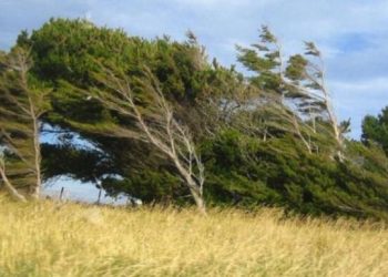 Növbəti 2 gündə güclü külək əsəcək – Xəbərdarlıq