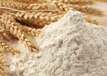 Azərbaycanda un bahalaşdı