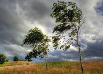 Güclü külək əsəcək – Sarı xəbərdarlıq