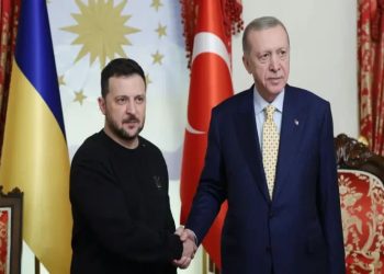 Ərdoğan Zelenski ilə görüşüb