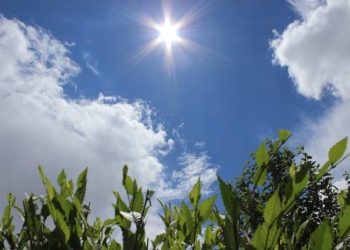 Bayram gününün hava proqnozu açıqlanıb