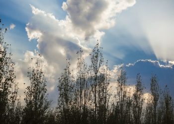 Sabah hava yağmursuz keçəcək