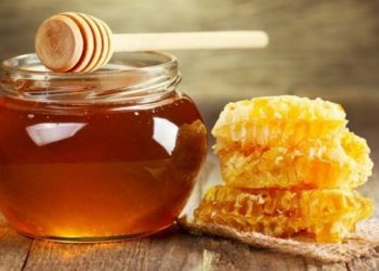 Ötən il Azərbaycanda bal istehsalı 13%-dən çox azalıb