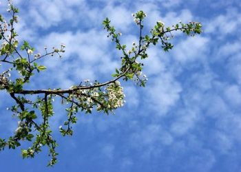 Sabah 18 dərəcə isti olacaq