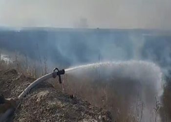 FHN sərhəddə erməni təxribatının qarşısını aldı – VİDEO