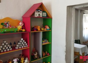 Bağçalarda sağlamlığın mühafizəsinə dair tələblər təsdiqlənib