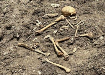 Qubadlıda sümük qalıqları aşkarlanıb