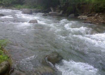 Bəzi çaylarda sululuq artıb