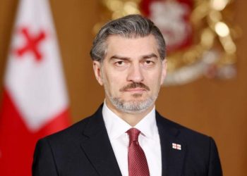 Gürcüstan Prezidenti: Cənubi Qafqazda sülh zəruridir