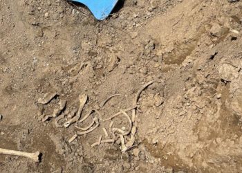 Qubadlıda insan sümüyünə bənzər qalıqlar aşkar edilib