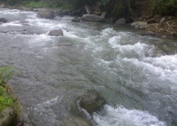 Bəzi çaylarda sululuq artıb