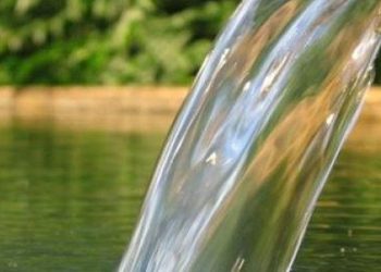 Sudan qanunsuz istifadəyə görə cərimələr sərtləşdiriləcək