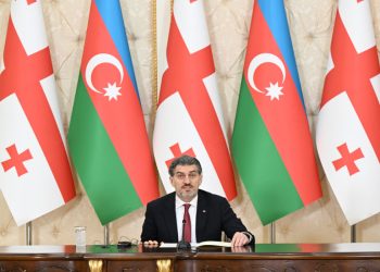 Kavelaşvili: Azərbaycan və Gürcüstan ikili standartların hədəfinə çevrilib