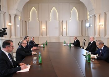 Prezident İlham Əliyev Türkiyənin enerji və təbii sərvətlər nazirini qəbul edib