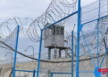 Qadın və kişi məhkumların sayı artıb