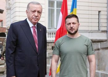 Ərdoğanla Zelenskinin görüşü başladı