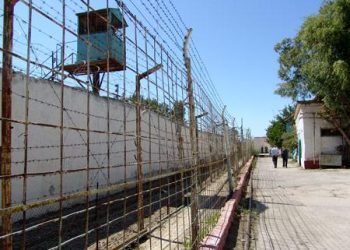 Əfv sərəncamı xarici vətəndaşlara da şamil olunub