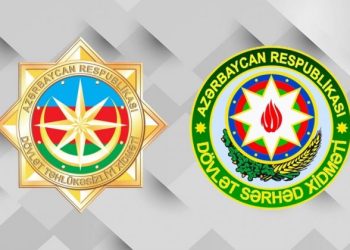 Bu, sadəcə narkotik əməliyyatı deyil, bu, genefondumuzun xilası əməliyyatıdır