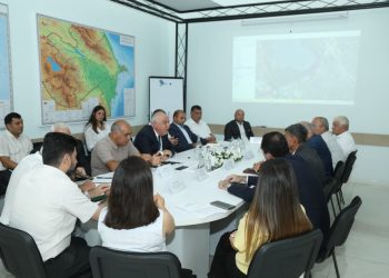 Ələtdə çay məcrasının dəyişdirilməsi və yol qovşağının inşası zamanı ağaclar köçürüləcək