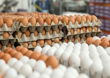 Yumurta bahalaşıb, yoxsa ucuzlaşıb? – Fakt və ekspert rəyi