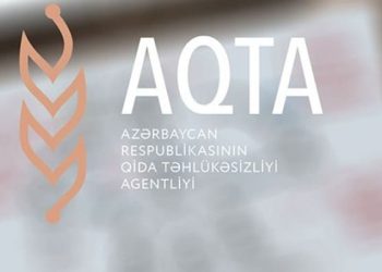 Hər şeyi vətəndaş deməlidirsə, Qida Təhlükəsizliyi Agentliyi hara baxır?!