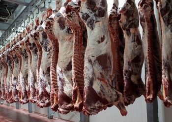 Azərbaycan 85 ölkədən qida məhsullarının idxalına MƏHDUDİYYƏT QOYDU