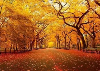 Oktyabrda hava necə olacaq?