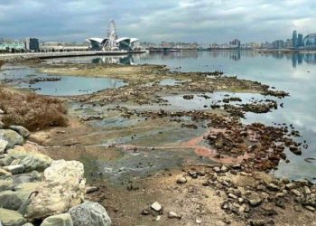 Muxtar Babayev açıqladı: Xəzərdə su buna görə azalır (VİDEO)