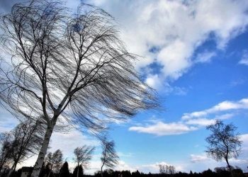 Hava ilə bağlı SON DƏQİQƏ XƏBƏRDARLIĞI